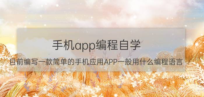 手机app编程自学 目前编写一款简单的手机应用APP一般用什么编程语言？